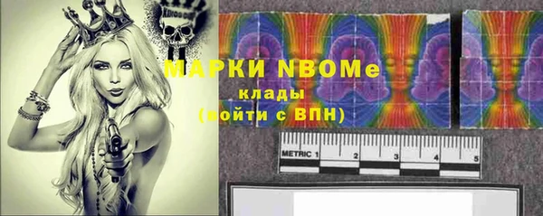 сатива Верхний Тагил