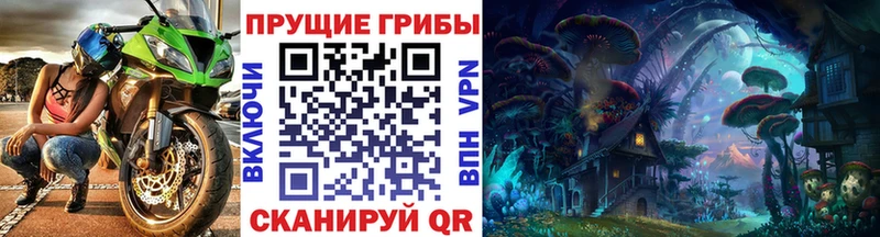Купить закладки  Лениногорск  Псилоцибиновые грибы ЛСД 