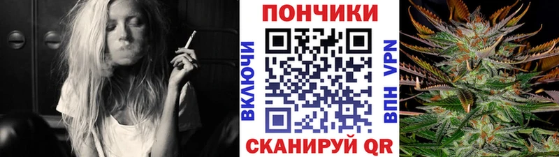Купить закладки  Лениногорск  Бошки марихуана планчик 